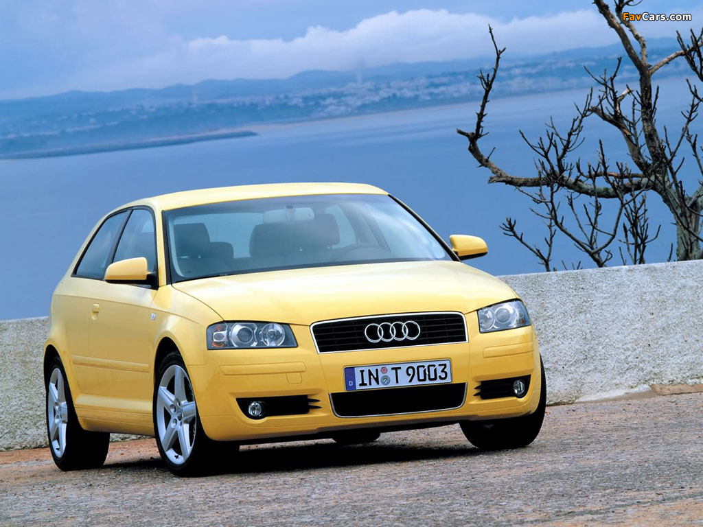 Audi A3 2.0 FSI 8P (2003–2005) photos (1024 x 768)
