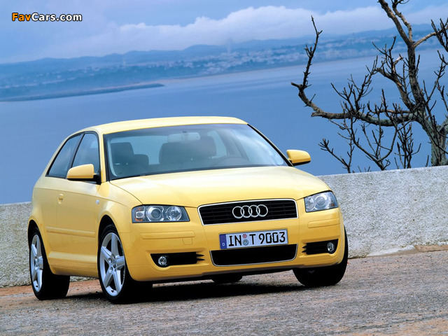 Audi A3 2.0 FSI 8P (2003–2005) photos (640 x 480)