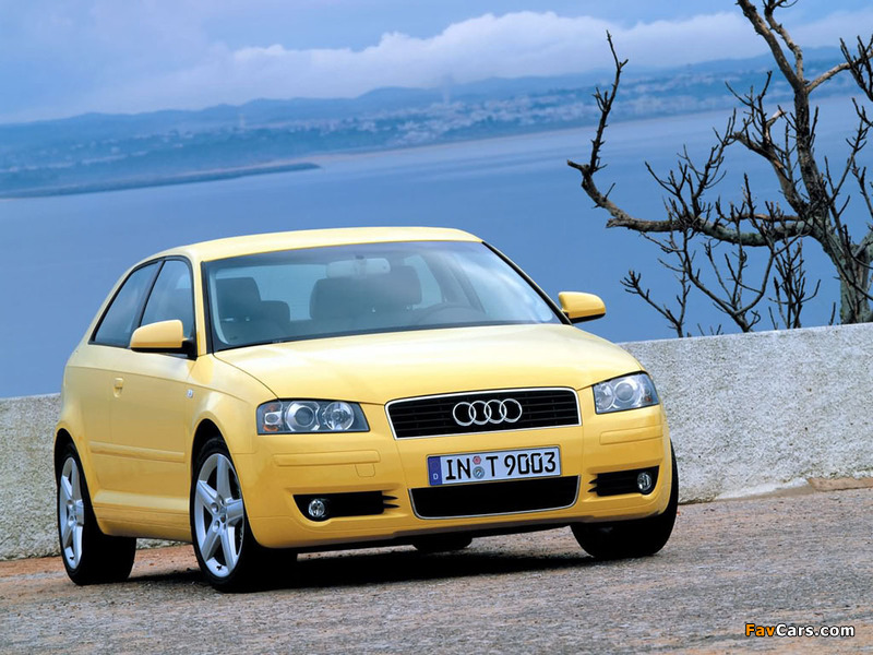 Audi A3 2.0 FSI 8P (2003–2005) photos (800 x 600)