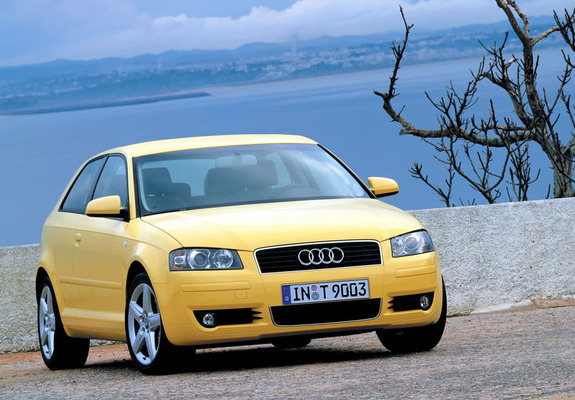 Audi A3 2.0 FSI 8P (2003–2005) photos