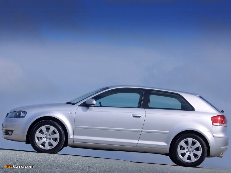 Audi A3 2.0 FSI UK-spec 8P (2003–2005) photos (800 x 600)