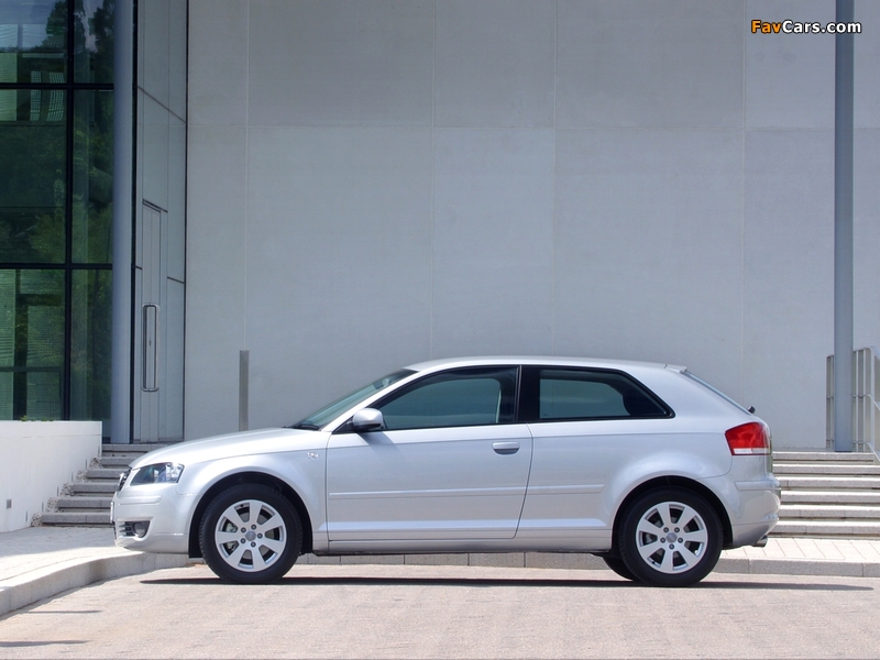 Audi A3 2.0 FSI UK-spec 8P (2003–2005) photos (800 x 600)