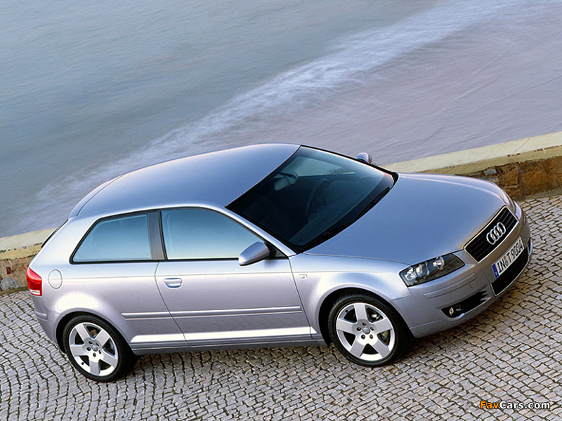 Audi A3 2.0 TDI 8P (2003–2005) photos (800 x 600)