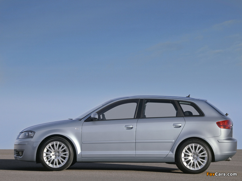 Audi A3 Sportback 2.0T (8PA) 2004–08 images (800 x 600)