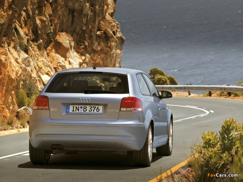 Audi A3 2.0 TDI 8P (2005–2008) pictures (800 x 600)