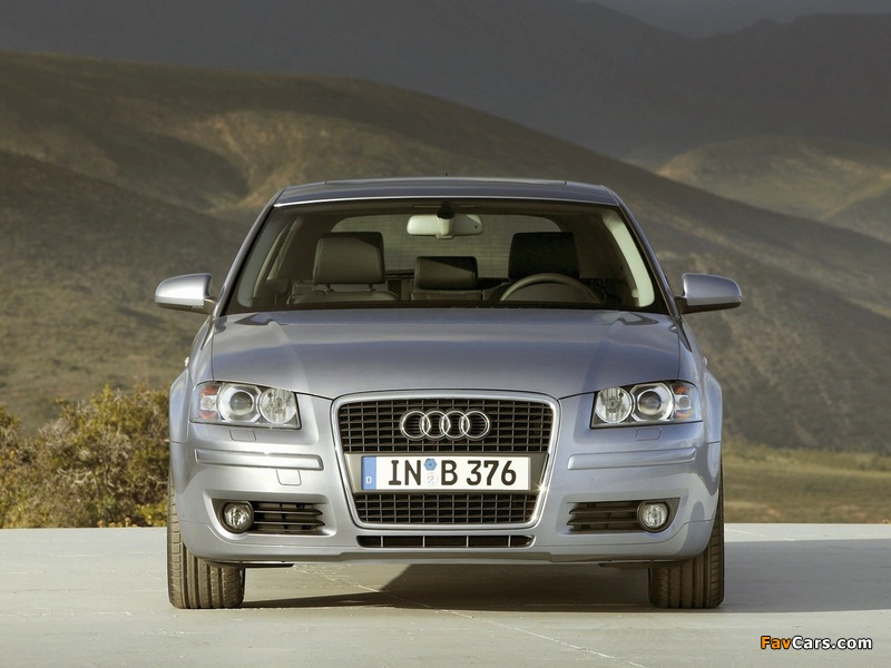 Audi A3 2.0 TDI 8P (2005–2008) pictures (800 x 600)