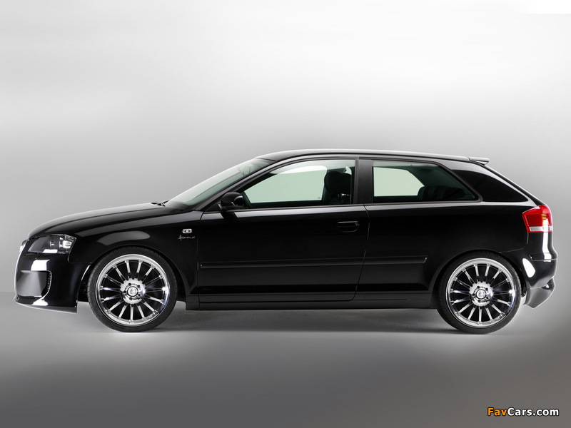 Hofele Design Audi A3 8P (2005–2008) wallpapers (800 x 600)