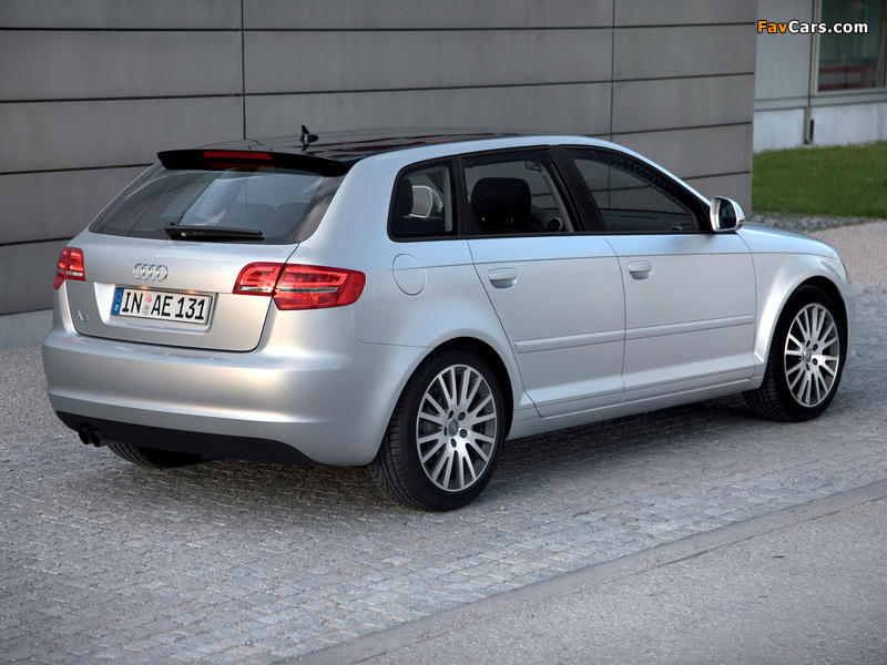 Audi A3 Sportback 8PA (2008–2010) pictures (800 x 600)