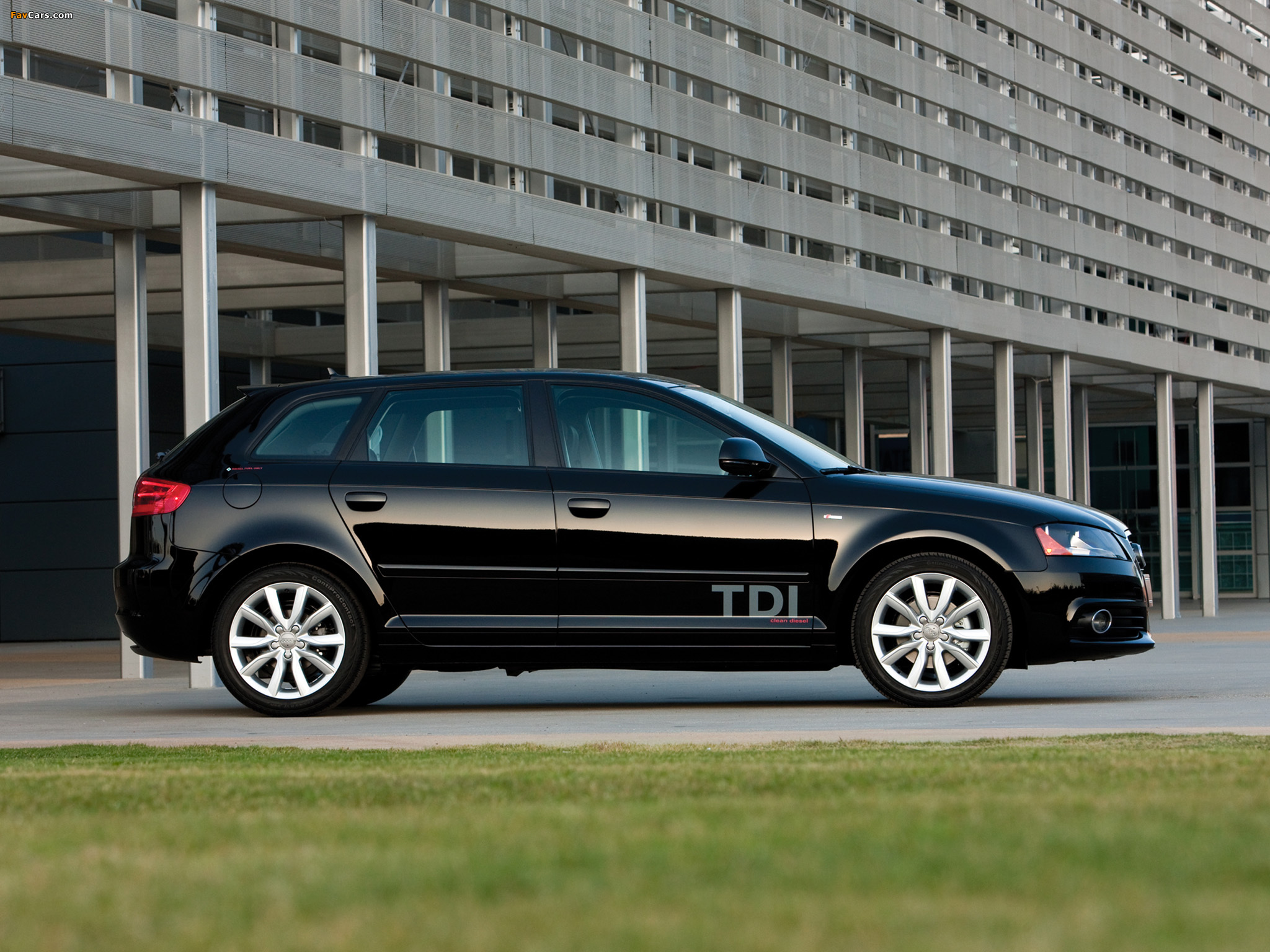 Audi A3 Sportback TDI Clean Diesel 8PA (2009–2010) pictures (2048 x 1536)