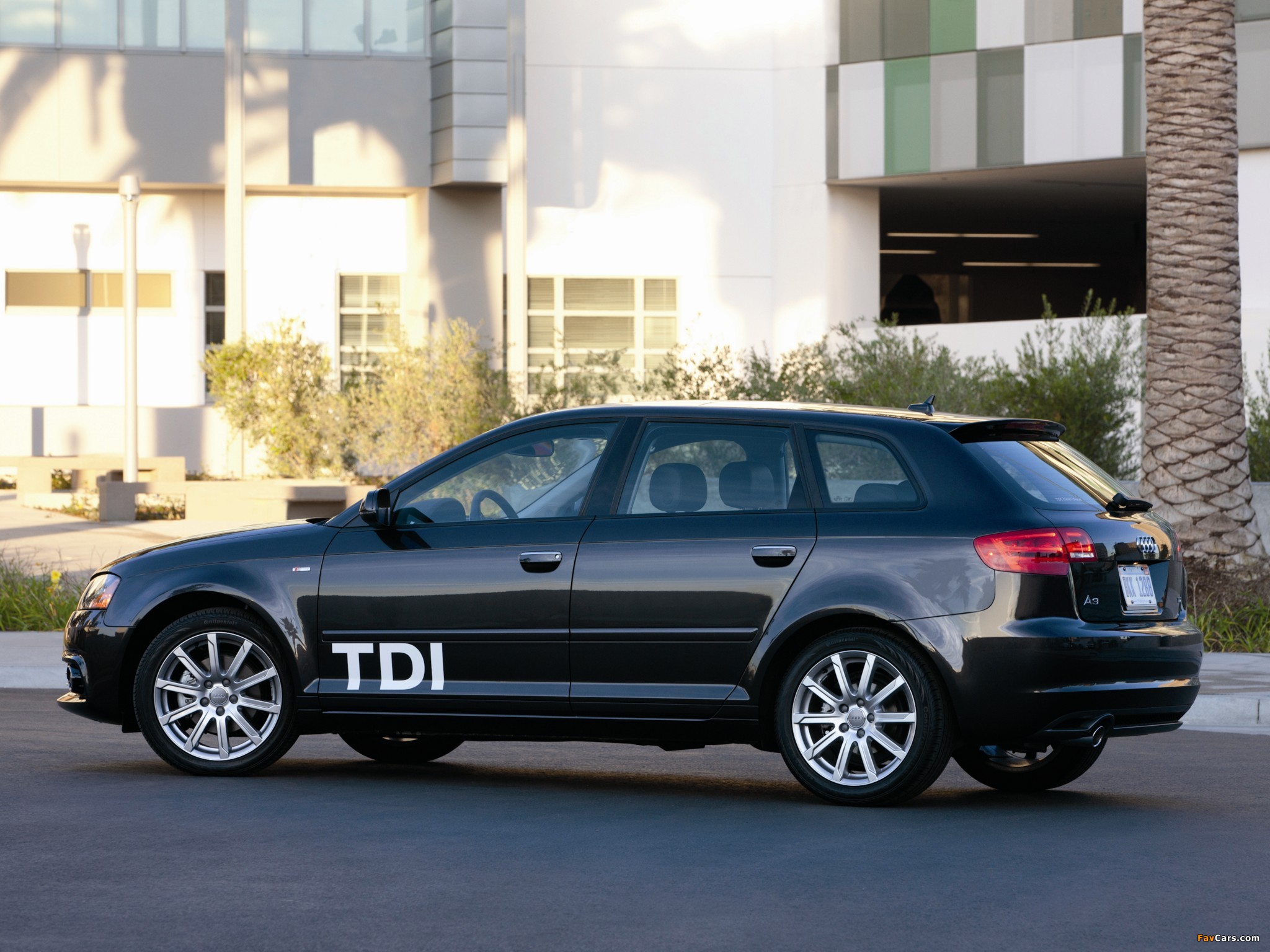 Audi A3 Sportback TDI Clean Diesel 8PA (2009–2010) pictures (2048 x 1536)