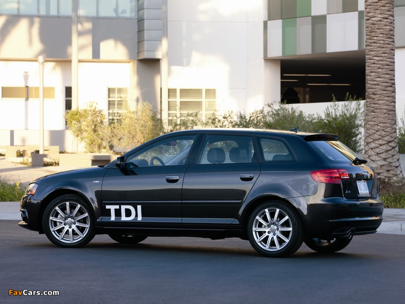 Audi A3 Sportback TDI Clean Diesel 8PA (2009–2010) pictures (800 x 600)