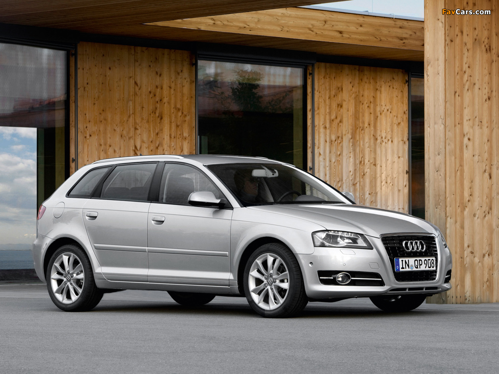 Audi A3 Sportback TFSI 8PA (2010) images (1024 x 768)