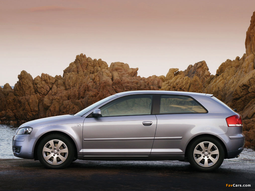 Images of Audi A3 2.0 TDI 8P (2003–2005) (1024 x 768)