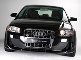 Images of Hofele Design Audi A3 8P (2005–2008)