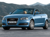 Images of Audi A3 2.0 TDI Cabriolet 8PA (2008–2010)