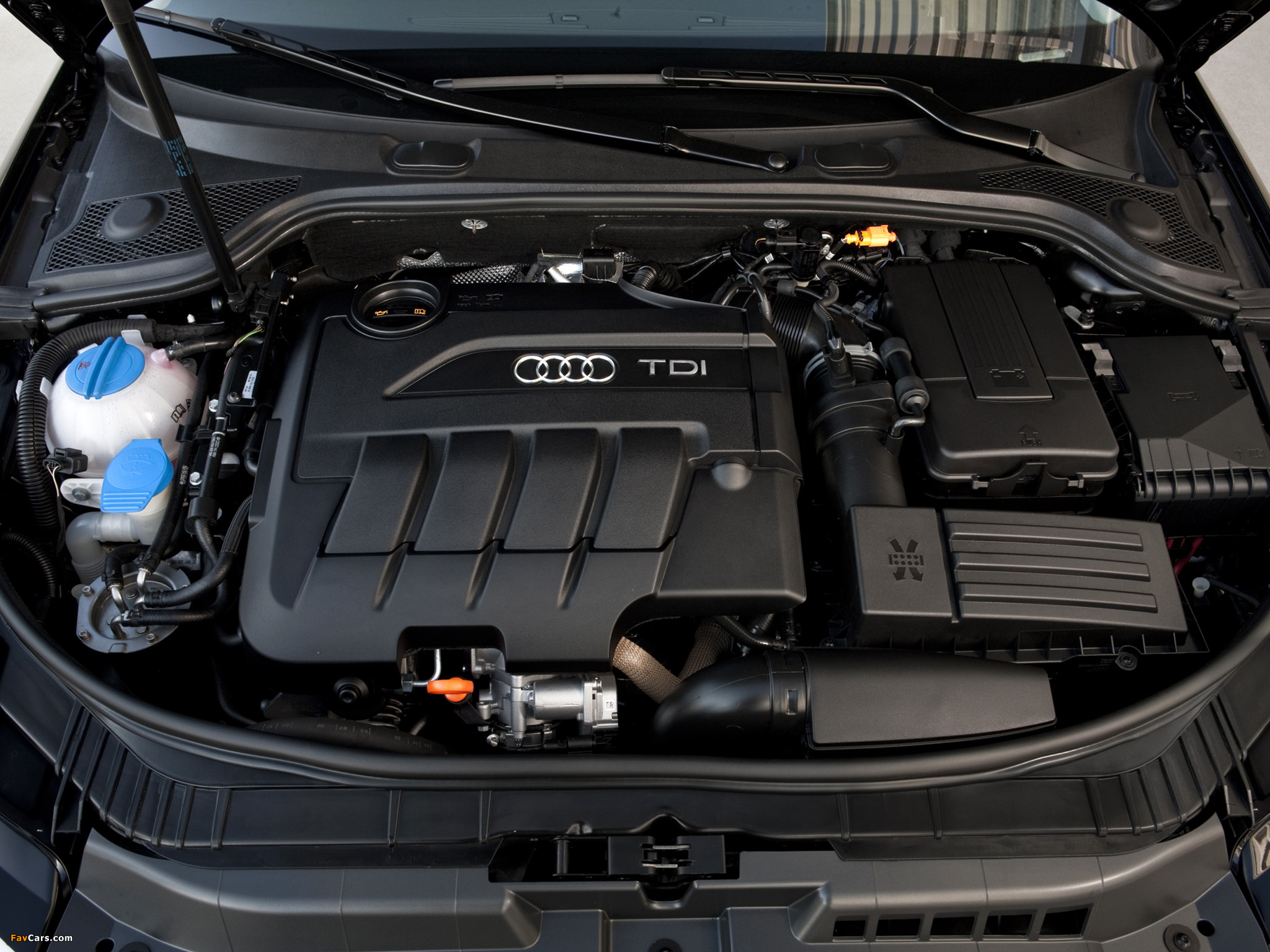 Images of Audi A3 Sportback TDI Clean Diesel 8PA (2009–2010) (2048 x 1536)