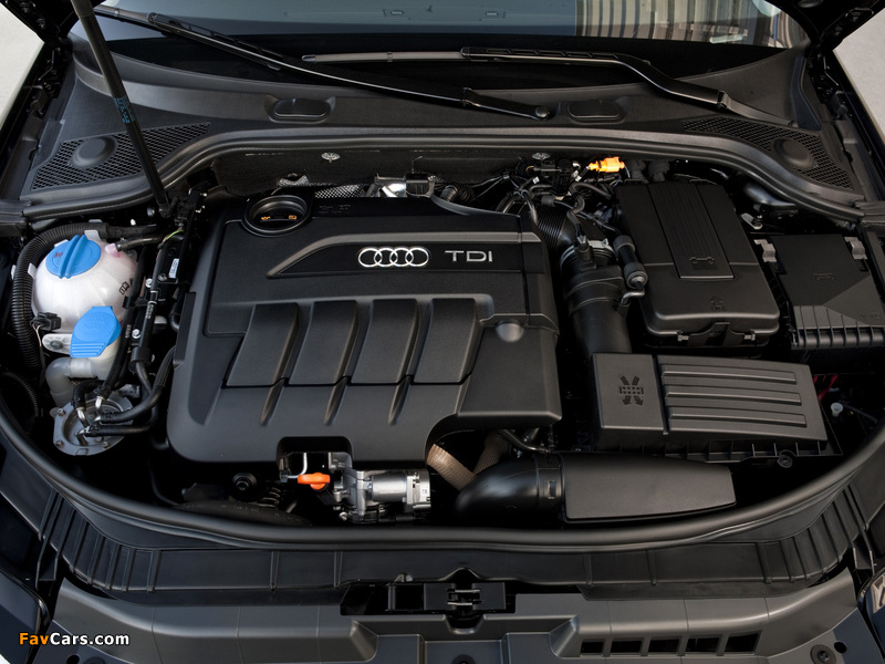 Images of Audi A3 Sportback TDI Clean Diesel 8PA (2009–2010) (800 x 600)