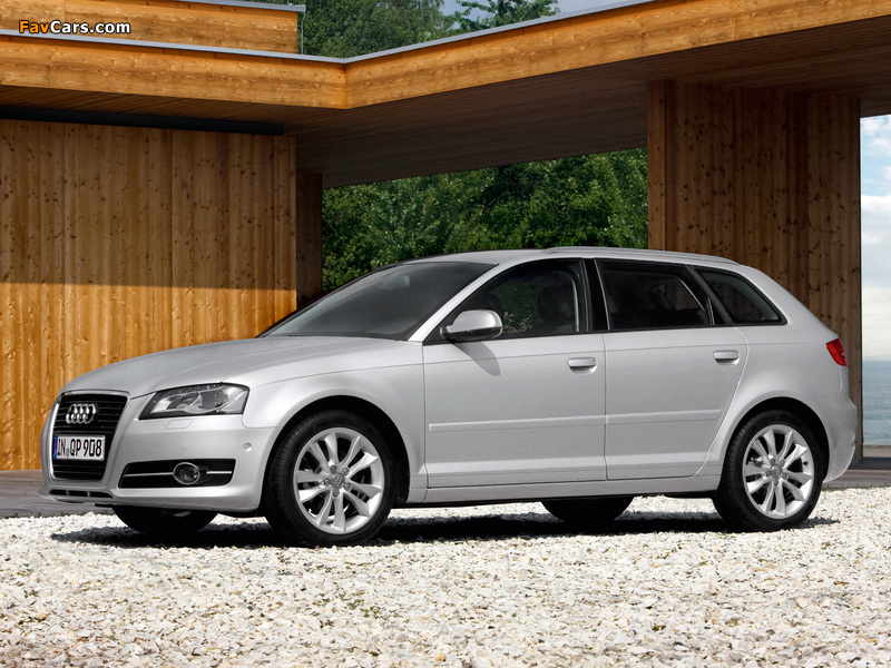 Images of Audi A3 Sportback TFSI 8PA (2010) (800 x 600)