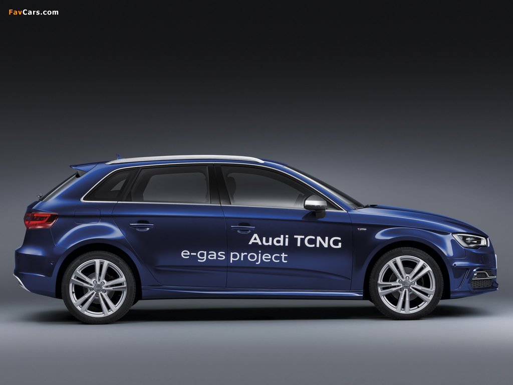 Images of Audi A3 Sportback TCNG 8V (2012) (1024 x 768)