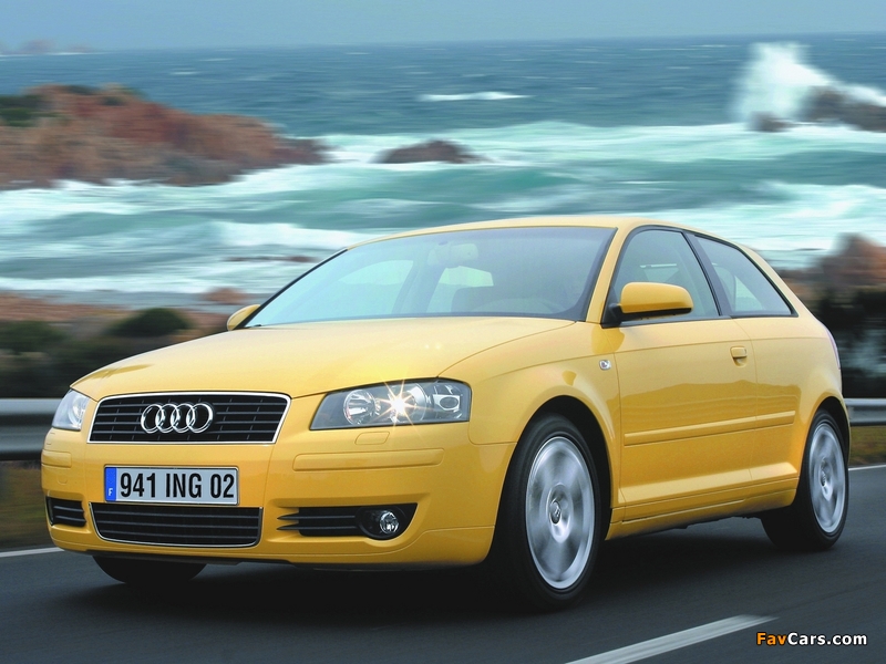 Photos of Audi A3 2.0 FSI 8P (2003–2005) (800 x 600)