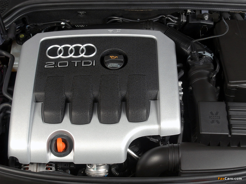 Photos of Audi A3 2.0 TDI ZA-spec 8P (2003–2005) (1024 x 768)