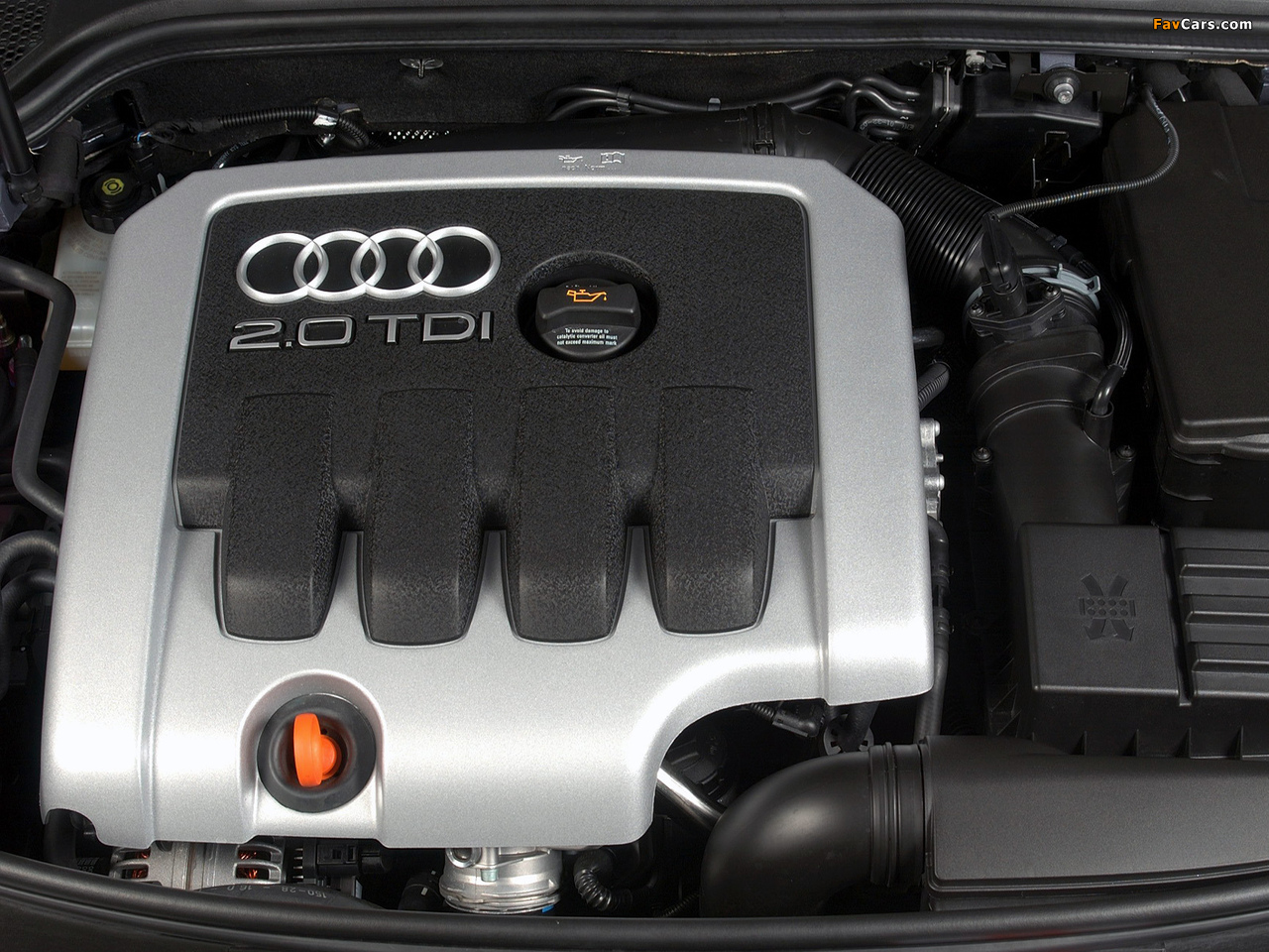 Photos of Audi A3 2.0 TDI ZA-spec 8P (2003–2005) (1280 x 960)