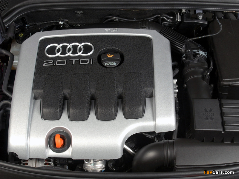 Photos of Audi A3 2.0 TDI ZA-spec 8P (2003–2005) (800 x 600)