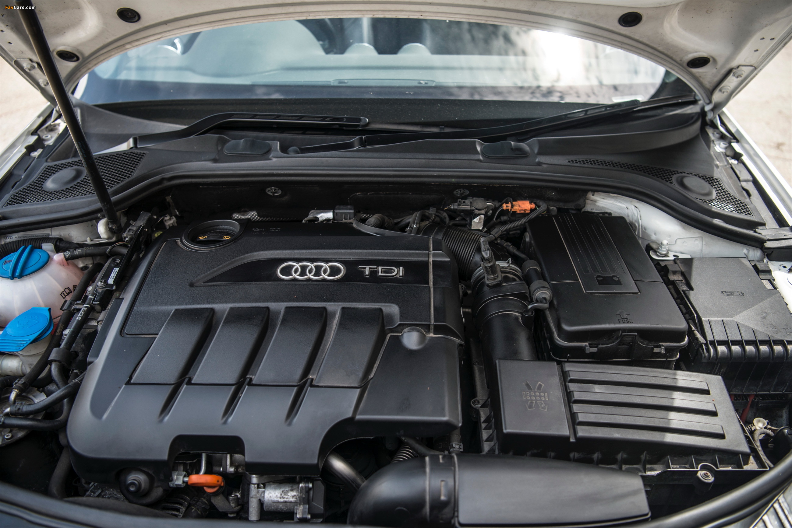 Photos of Audi A3 2.0 TDI S-Line Cabriolet (8PA) 2008–10 (2600 x 1735)