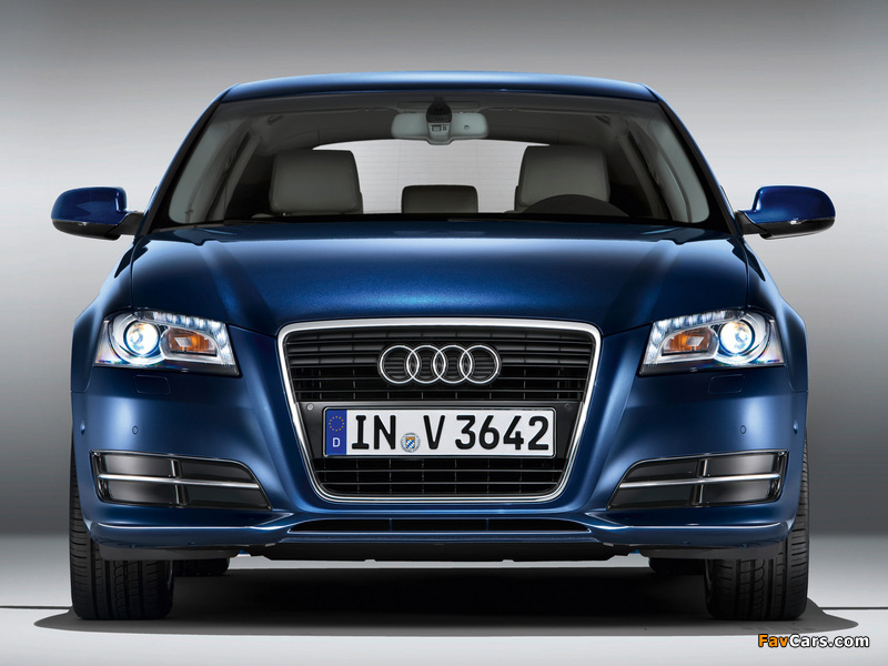 Photos of Audi A3 Sportback TDI 8PA (2010) (800 x 600)