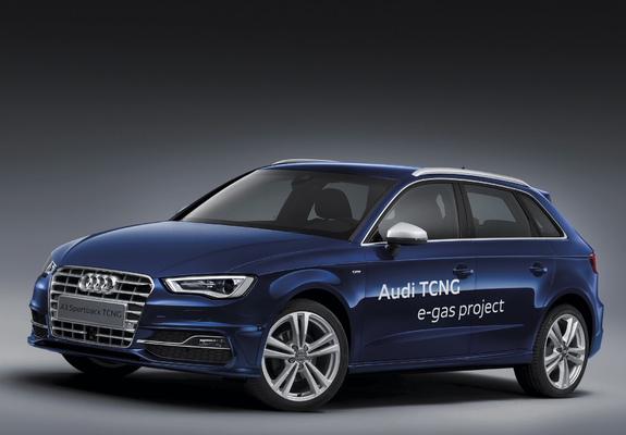 Photos of Audi A3 Sportback TCNG 8V (2012)