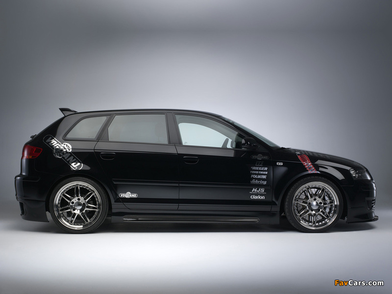 Pictures of Audi A3 Sportback by Vogtland 8PA (2006–2010) (800 x 600)