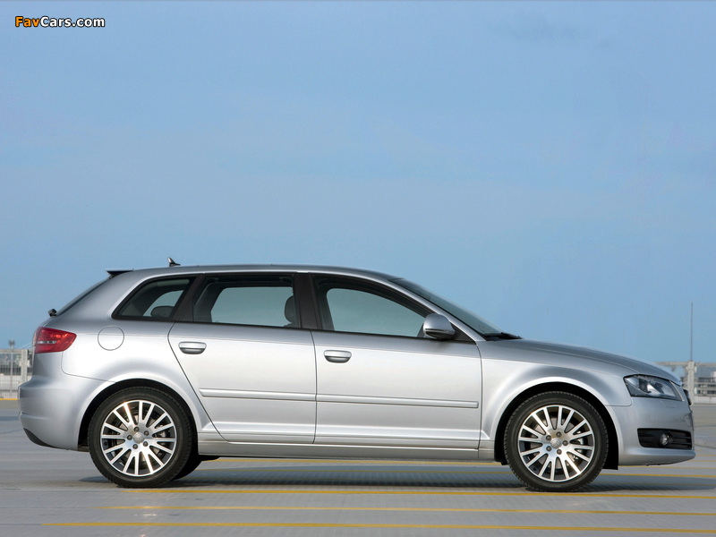 Pictures of Audi A3 Sportback 8PA (2008–2010) (800 x 600)
