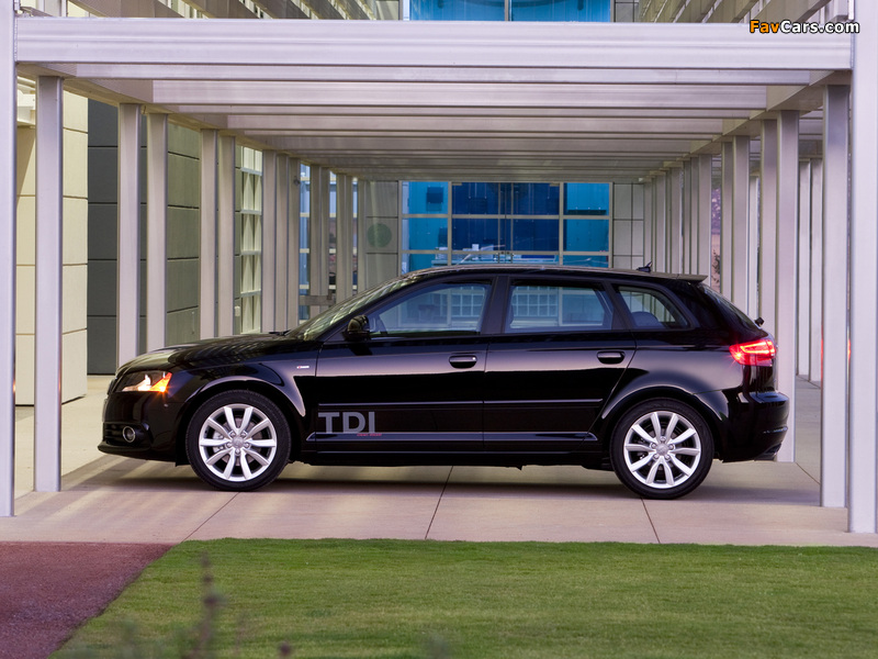 Pictures of Audi A3 Sportback TDI Clean Diesel 8PA (2009–2010) (800 x 600)