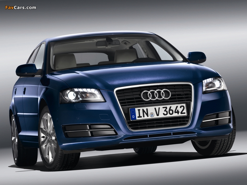 Pictures of Audi A3 Sportback TDI 8PA (2010) (800 x 600)