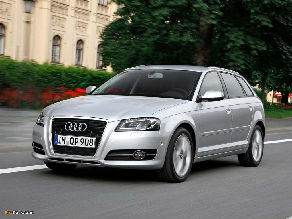Pictures of Audi A3 Sportback TFSI 8PA (2010) (1024 x 768)