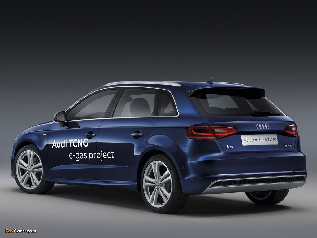 Pictures of Audi A3 Sportback TCNG 8V (2012) (1024 x 768)