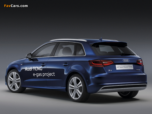 Pictures of Audi A3 Sportback TCNG 8V (2012) (640 x 480)