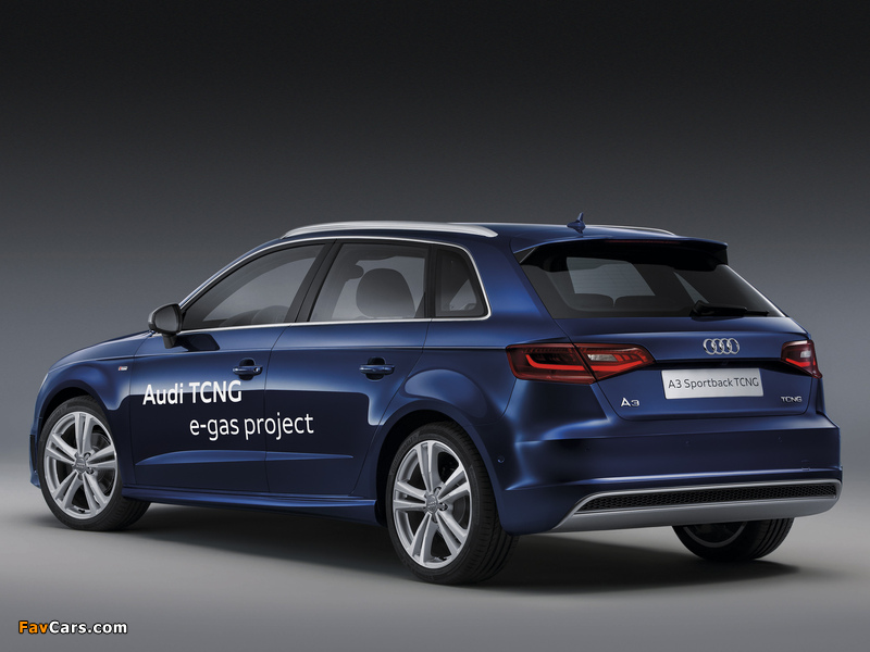 Pictures of Audi A3 Sportback TCNG 8V (2012) (800 x 600)