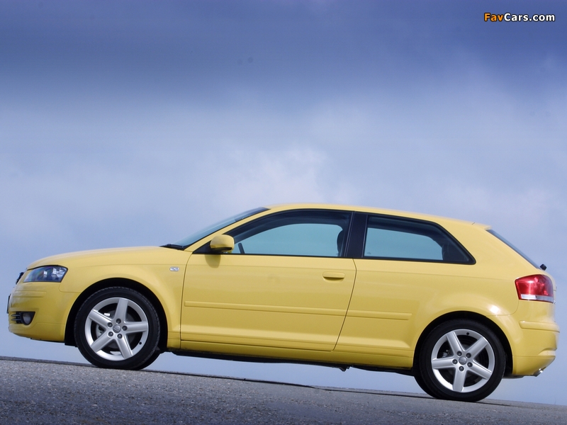 Audi A3 2.0 TDI UK-spec 8P (2003–2005) wallpapers (800 x 600)