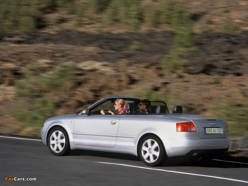 Audi A4 2.4 Cabrio B6,8H (2001–2005) images (800 x 600)