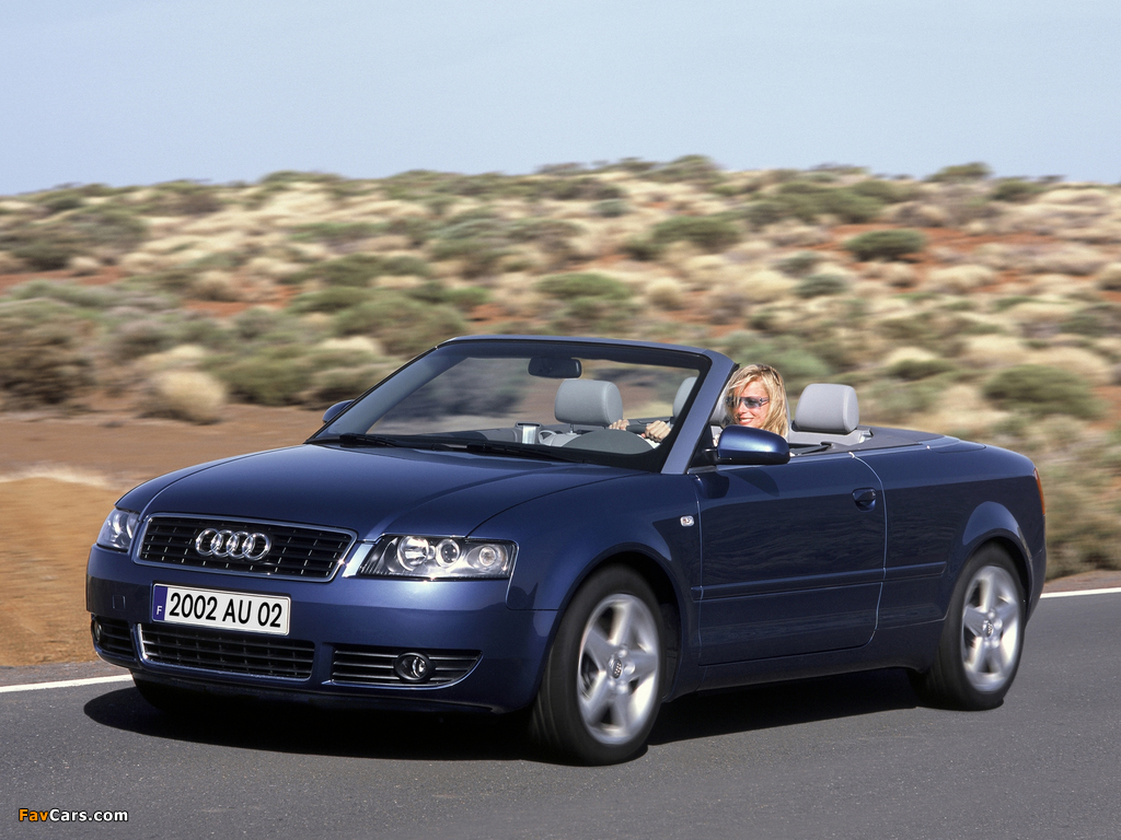 Audi A4 3.0 Cabrio B6,8H (2001–2005) images (1024 x 768)