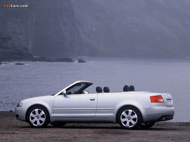 Audi A4 2.4 Cabrio B6,8H (2001–2005) photos (800 x 600)