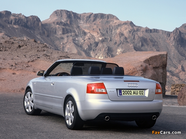 Audi A4 2.4 Cabrio B6,8H (2001–2005) pictures (640 x 480)