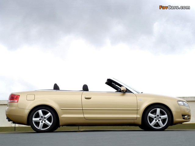 Audi A4 2.0 TDI Cabrio UK-spec B7,8H (2005) pictures (640 x 480)