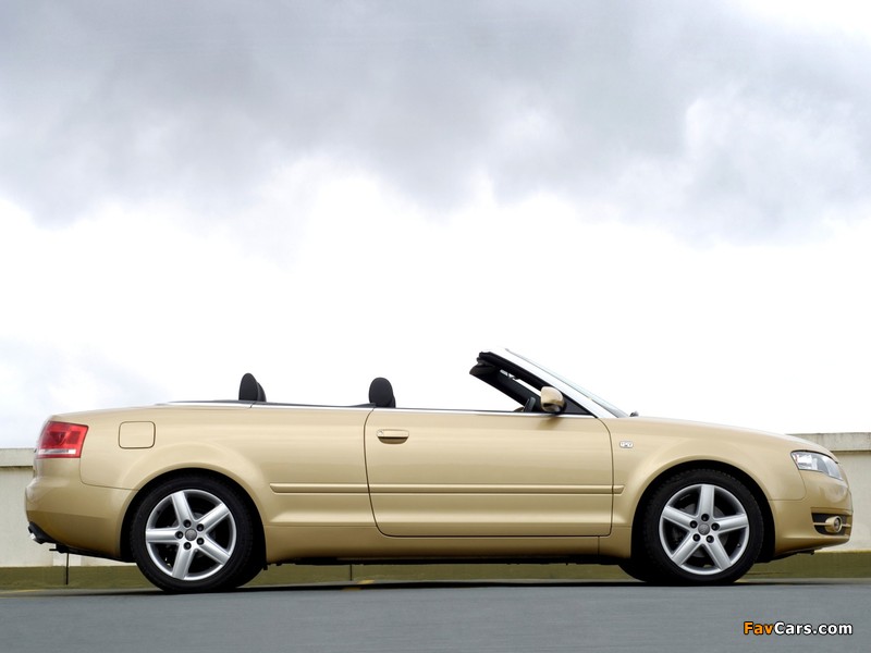 Audi A4 2.0 TDI Cabrio UK-spec B7,8H (2005) pictures (800 x 600)