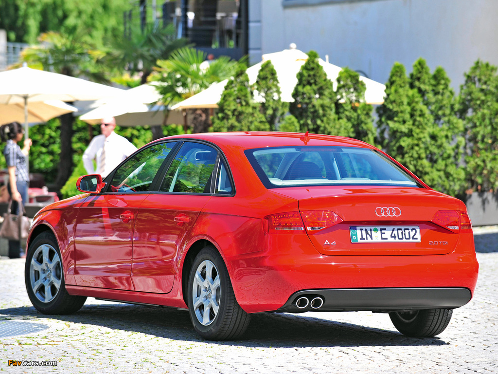 Audi A4 2.0 TDIe Sedan B8,8K (2009–2011) photos (1024 x 768)