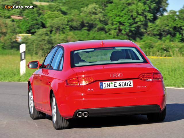 Audi A4 2.0 TDIe Sedan B8,8K (2009–2011) pictures (640 x 480)