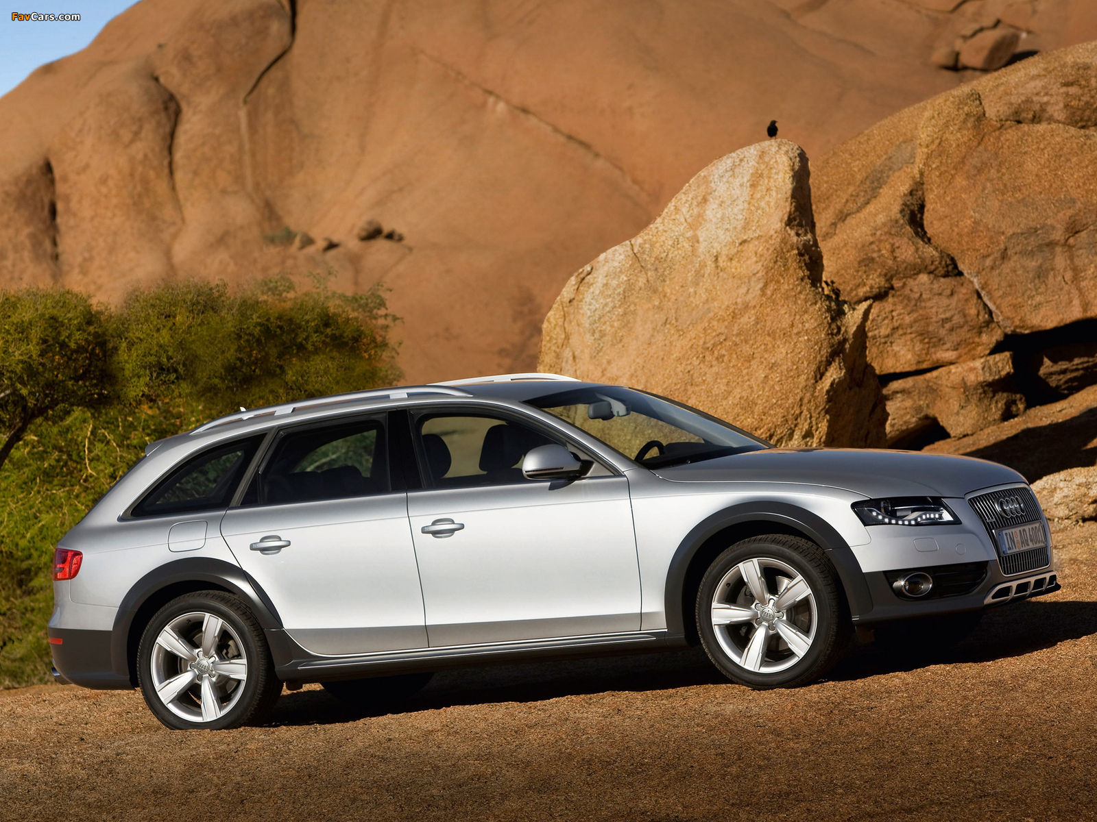 Audi A4 Allroad 2.0T quattro B8,8K (2009–2011) pictures (1600 x 1200)