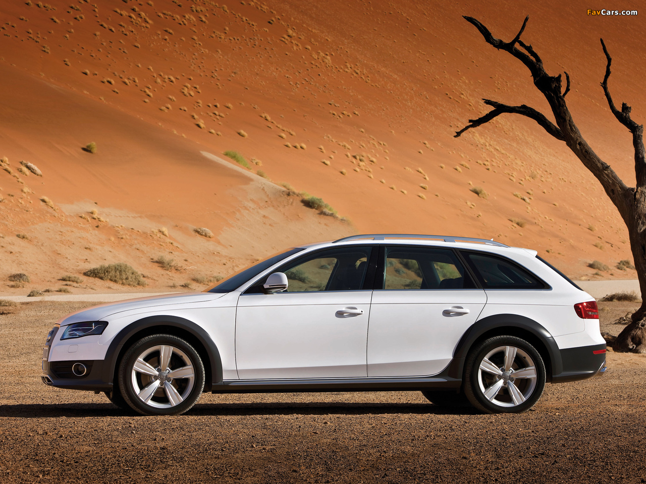 Audi A4 Allroad 2.0T quattro B8,8K (2009–2011) wallpapers (1280 x 960)