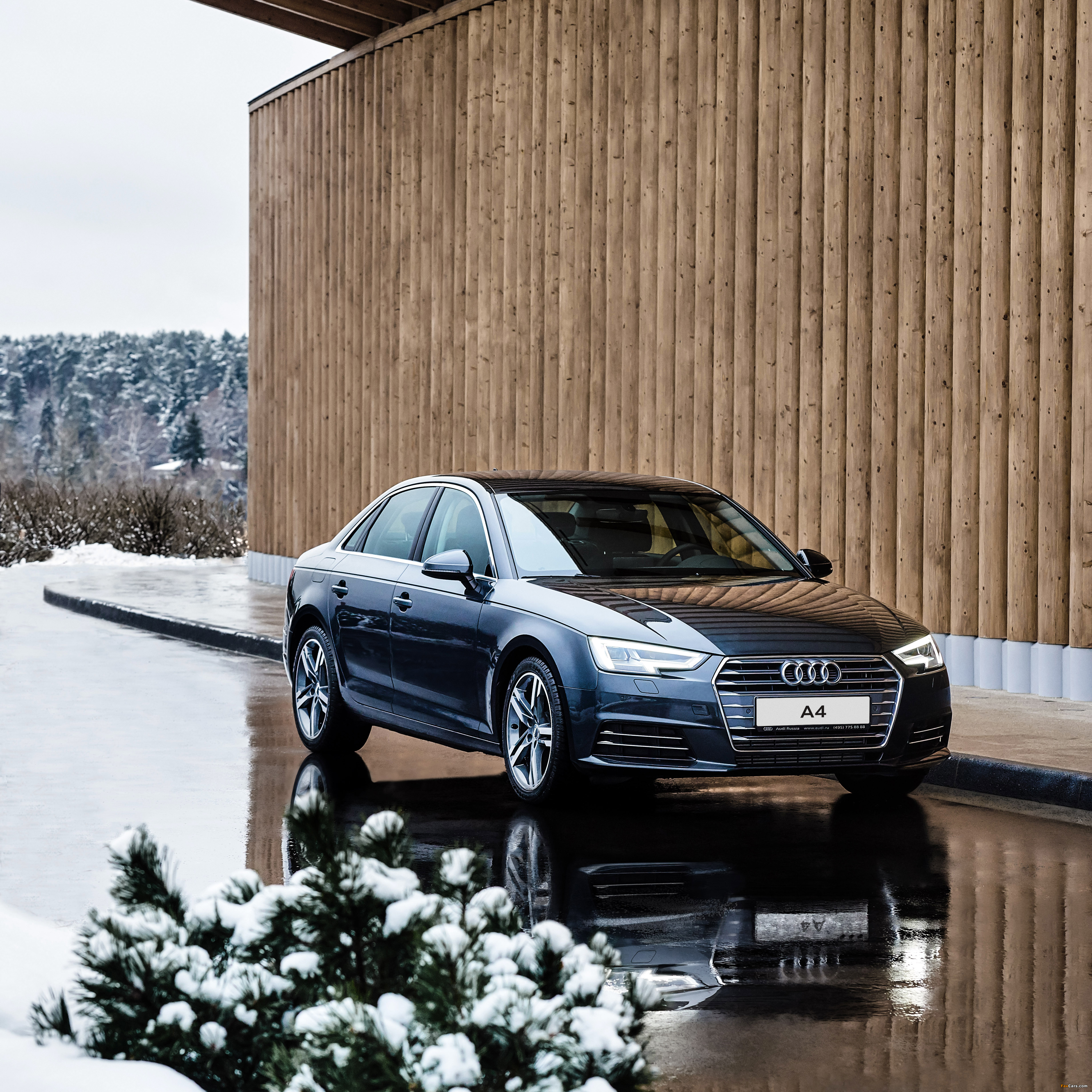 Audi A4 1.4 TFSI sport (B9) 2015 pictures (4096 x 4096)